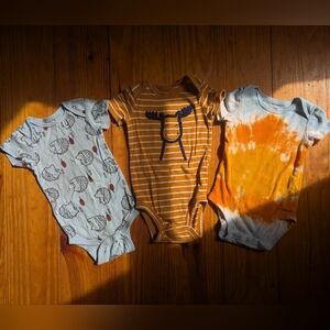 Tie Dye, Moose And Hedgehog 3-6mo Onesie Bundle